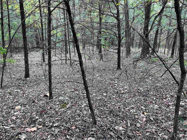 Land for sale in Ark