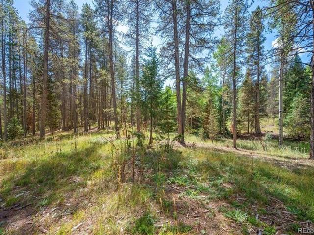 Land for sale in Conifer, Jefferson County