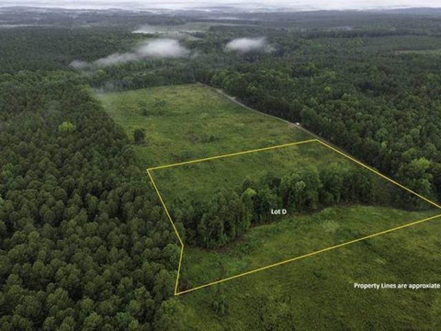 Land for sale in Ridgeway, South Carolina