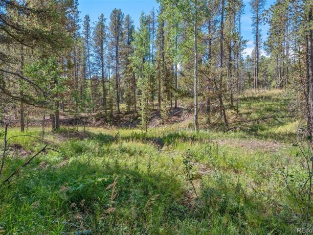 Land for sale in Oehlmann Park, Conifer