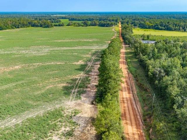 Land for sale in Grady, Georgia