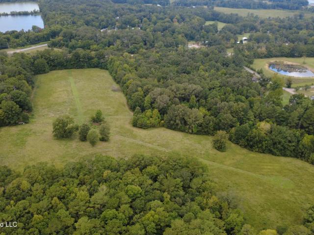 Land for sale in Morton, Scott County