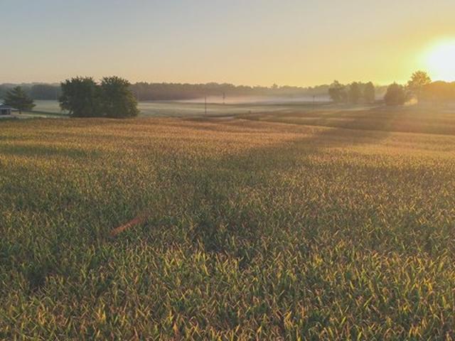 Farm for sale in Versailles, Illinois
