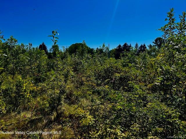 Land for sale in Athens, New York