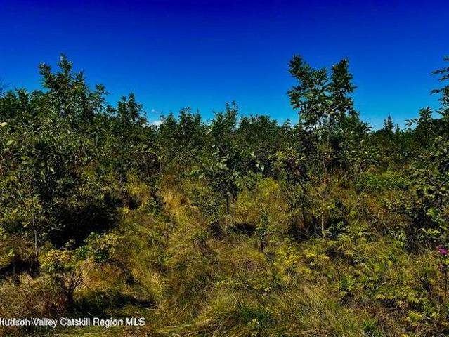 Land for sale in Village of Athens, Town of Athens