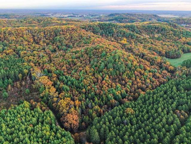 Land for sale in Fairchild, Wisconsin