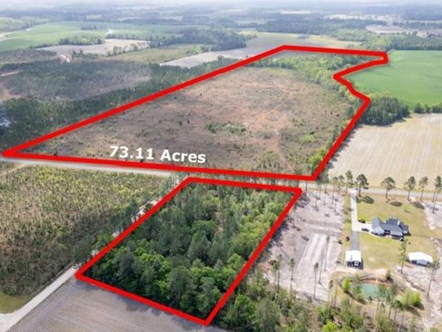 Land for sale in Baxley, Georgia