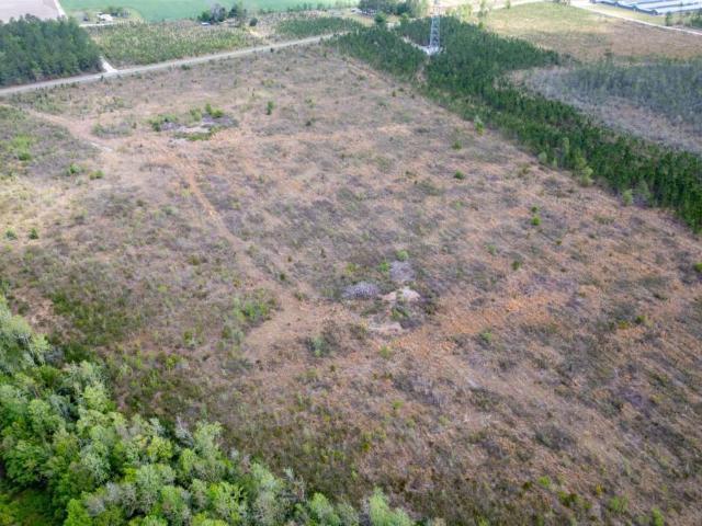 Land for sale in Baxley, Georgia
