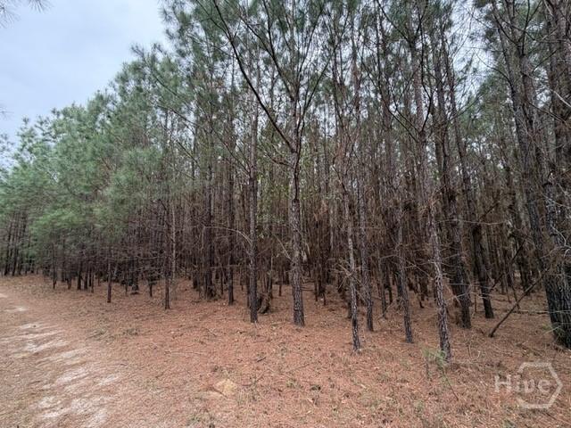 Land for sale in Rincon, Georgia