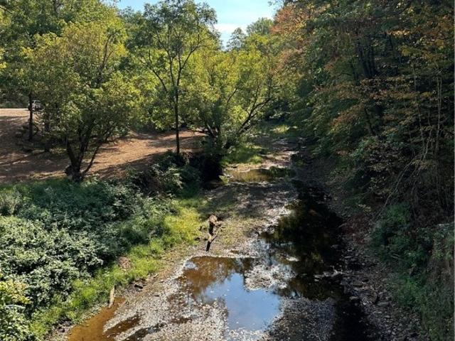 Land for sale in West Virginia