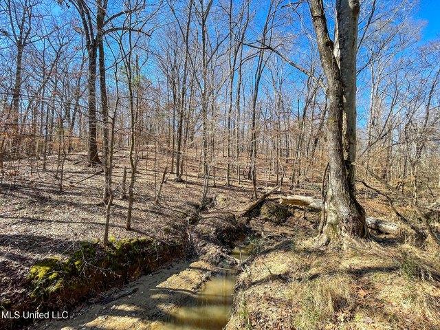 Land for sale in Flora, Mississippi