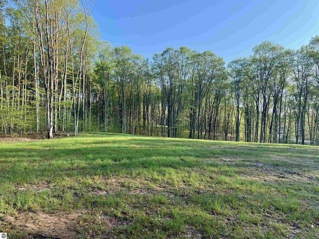 Land for sale in Maple City, Michigan