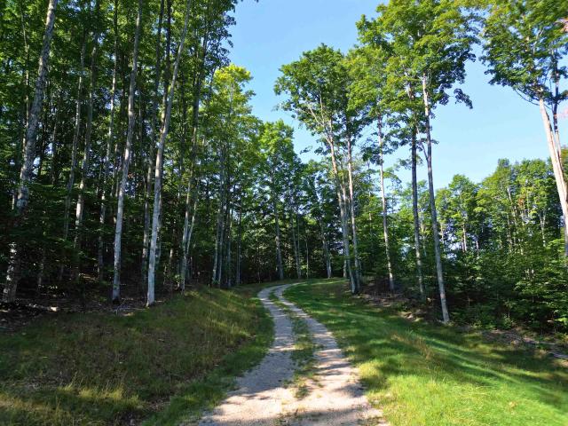 Land for sale in Cleveland Township, Leelanau County