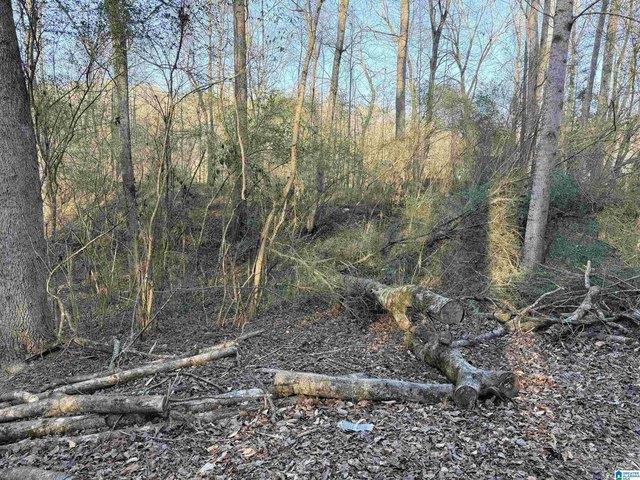 Land for sale in Cordova, Alabama
