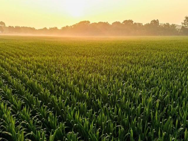 Land for sale in Browning, Illinois