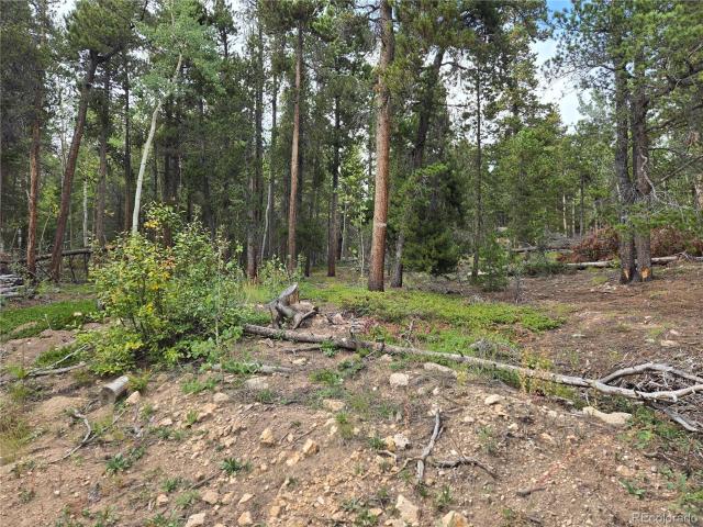 Land for sale in Black Hawk, Colorado