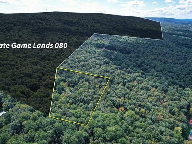 Land for sale in Pine Grove, Pennsylvania