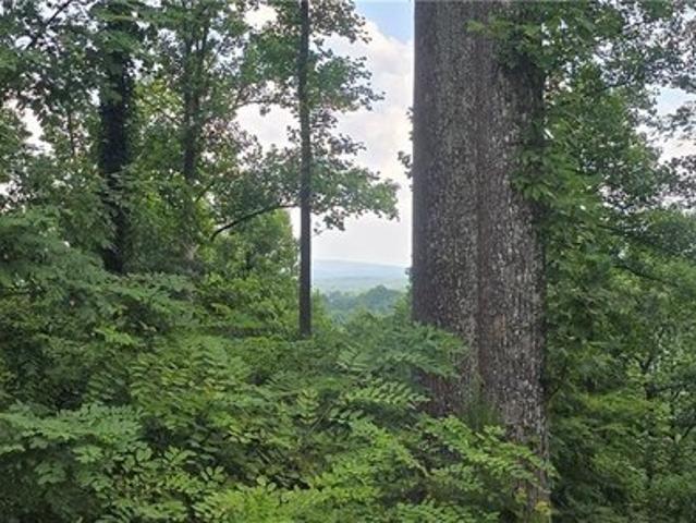 Land for sale in Blairsville, Georgia