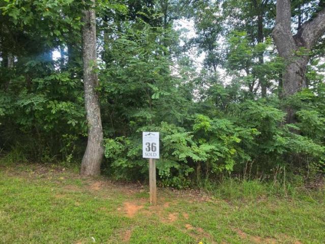 Land for sale in Blairsville, Georgia