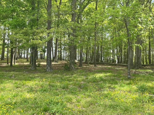 Land for sale in Monroe, North Carolina
