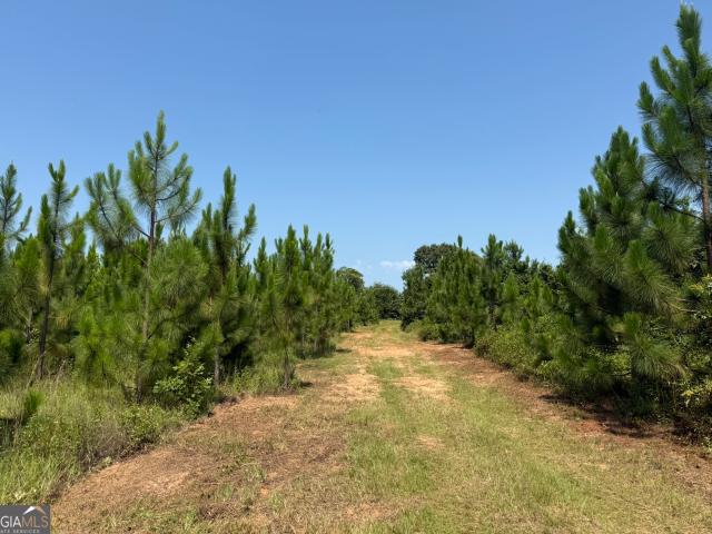 Land for sale in Stewart, Georgia