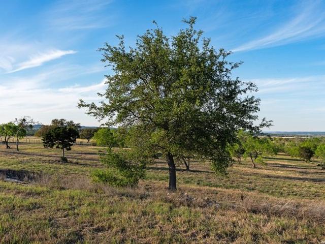 Farm for sale in Kendall, Texas
