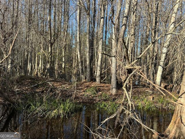 Land for sale in Alabama