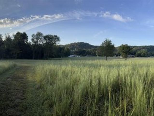 Land for sale in Ark