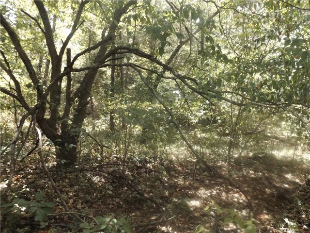Land for sale in Ark