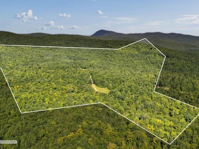Land for sale in Temple, Maine