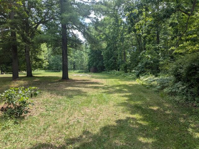 Land for sale in Wellston, Michigan