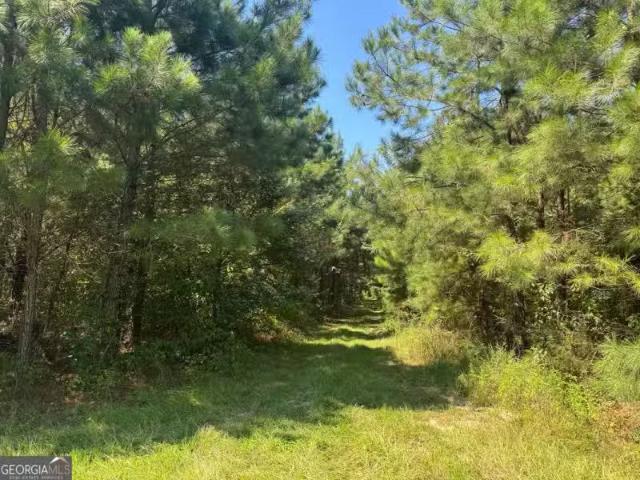 House for rent in Tallapoosa, Alabama