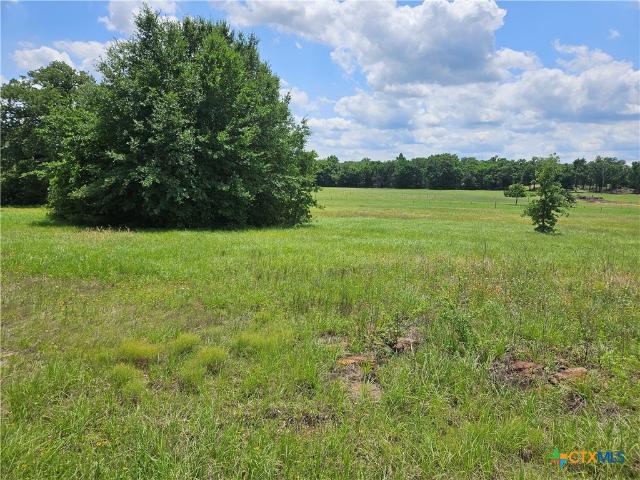 Land for sale in Milam, Texas