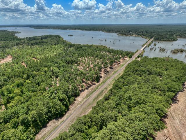 Land for sale in Pineland, Texas