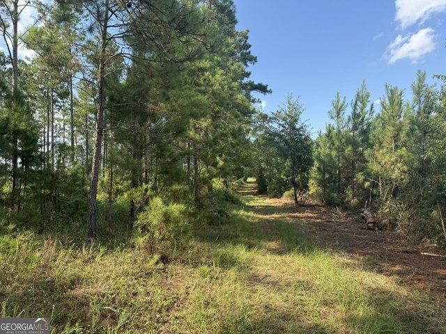 Land for sale in Cuthbert, Georgia