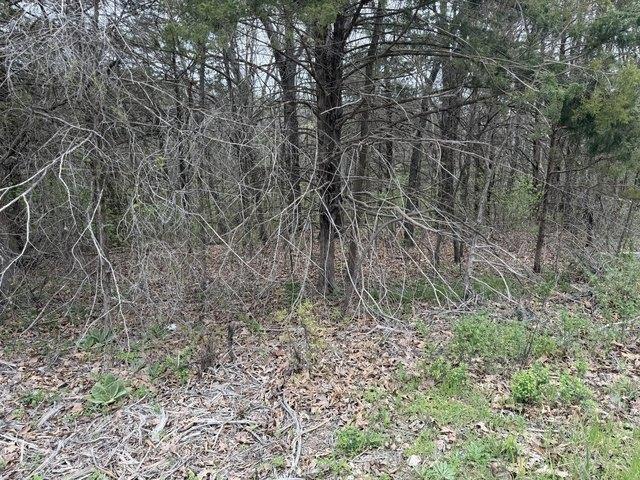 Land for sale in Stone, Missouri