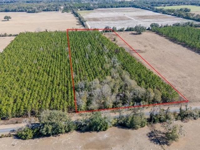 Land for sale in Trenton, Florida