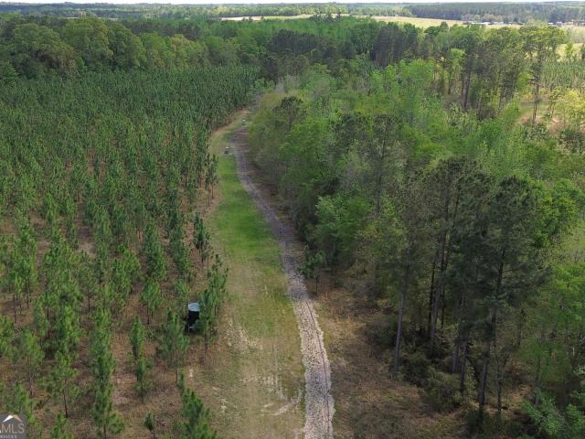 Land for sale in Screven, Georgia
