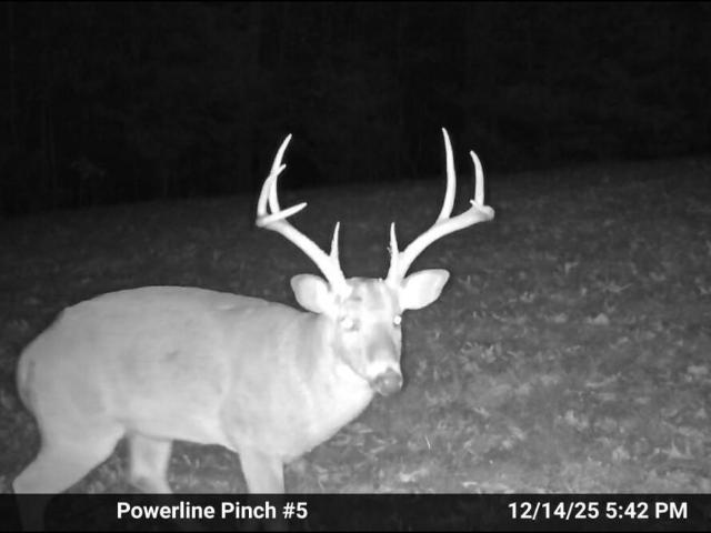 Land for sale in Highlandville, Missouri