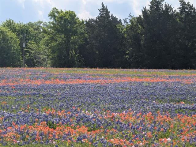 Land for sale in Grimes, Texas