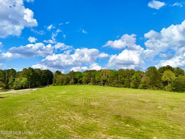 Land for sale in Canton, Mississippi