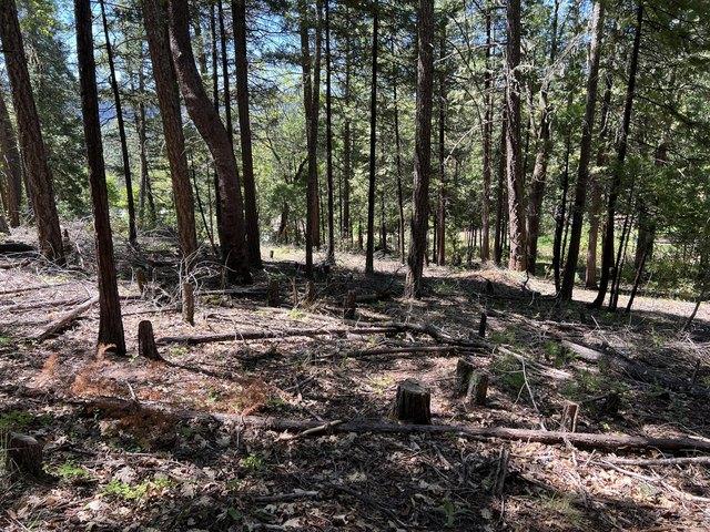 Land for sale in Oregonia