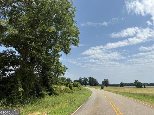 Land for sale in Lumpkin, Stewart County