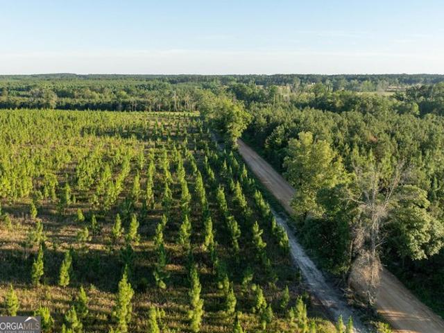 Land for sale in Screven, Georgia