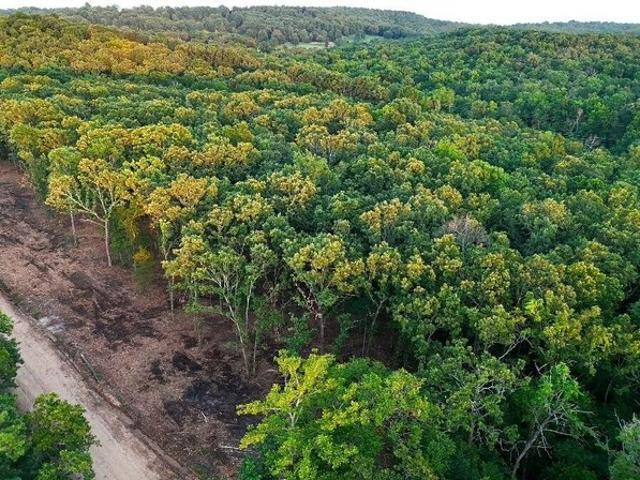 Land for sale in Macomb, Missouri