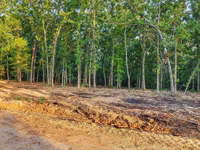 Land for sale in Macomb, Missouri