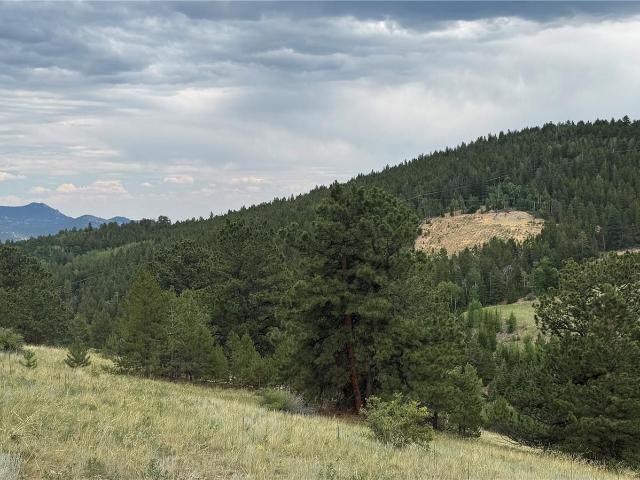 Land for sale in Central City, Colorado