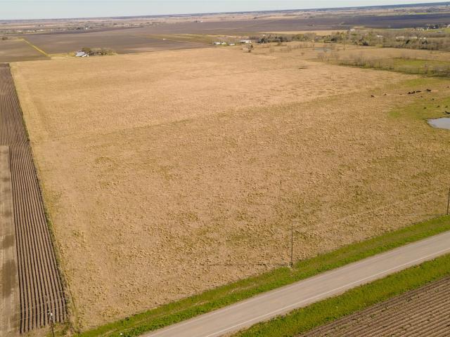Land for sale in Damon, Texas