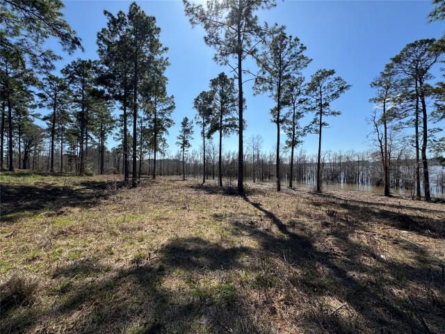 Land for sale in Pineland, Texas