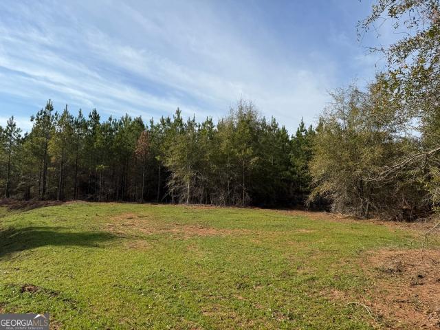 Land for sale in Plains, Georgia